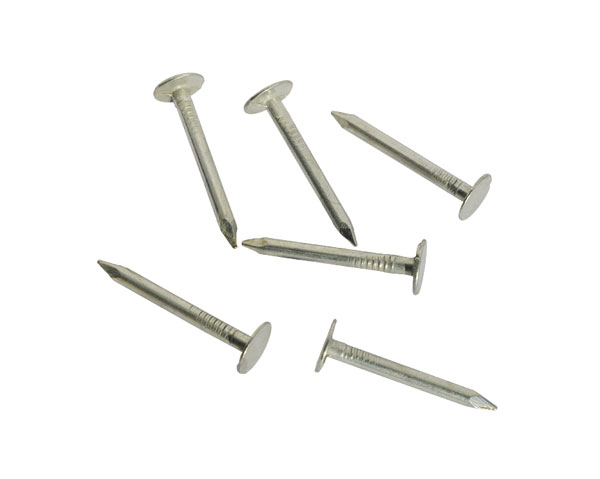 E.G.roofing nails